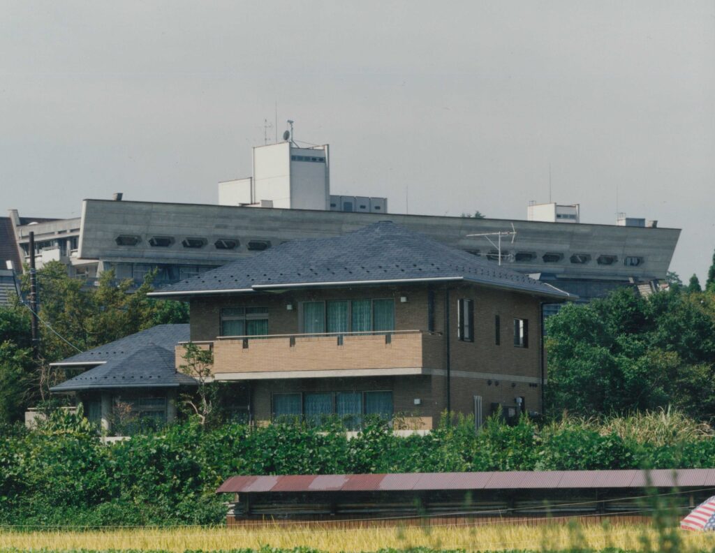 T邸